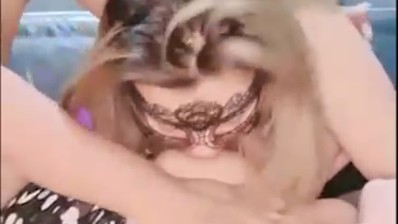 Bokep Shizuka Ochi 3Some Ngentot Live Bling2