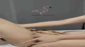 Bokep Ngentot Bokep Indo Cantik Dicolmekin Sampai Sange